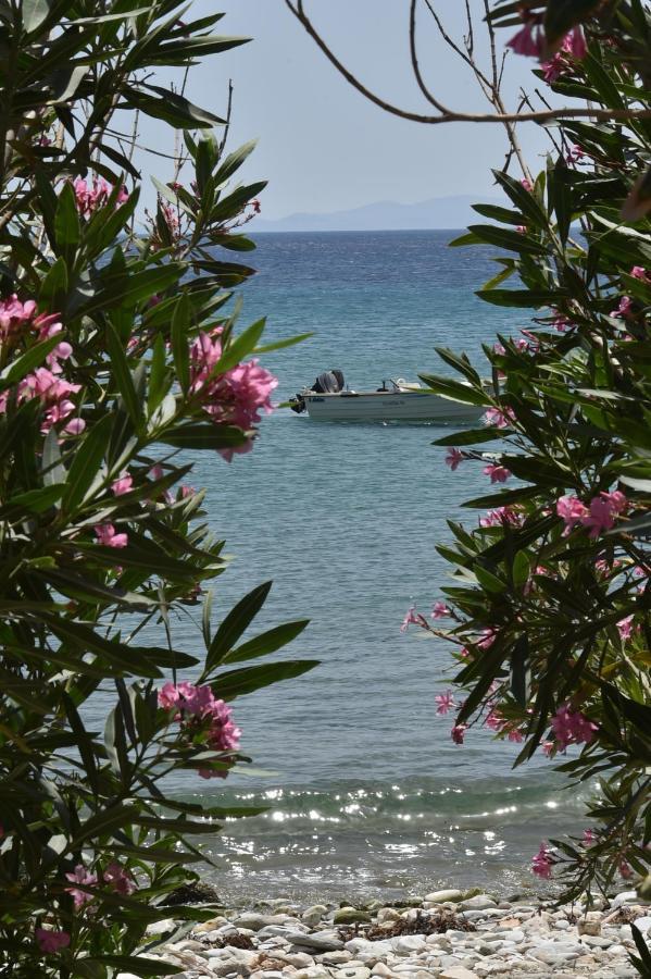 Seaside Home In Kardiani/Giannaki Bay - Agnes'S Home Exterior foto